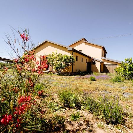 Agriturismo Bio Podere 109 - Wine&Food Alberese Exterior foto