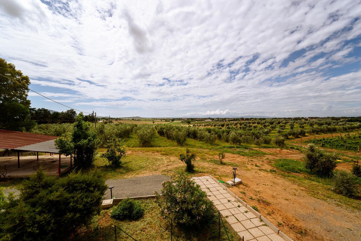 Agriturismo Bio Podere 109 - Wine&Food Alberese Exterior foto